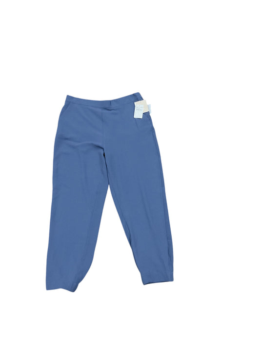 Pants Other By 14th And Union In Blue, Size: L